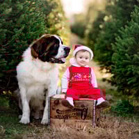 Image 4 of MINI SESSION - CHRISTMAS TREE FARM $50 RETAINER ONLY