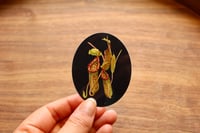 Lethal Sticker