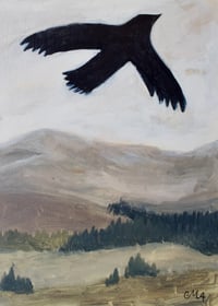 Image 3 of Hopeful Flight