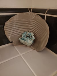 Image 1 of Cornered