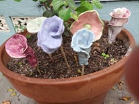 Image 2 of A selection of flowers
