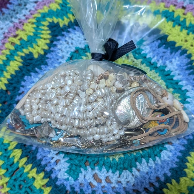 Femme Beachy Nautical Sea Shell Jewelry Mystery Grab Bag #7