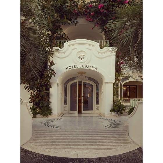 Image of Hotel Entrance (Hotel La Palma Capri) — Capri Architecture Fine Art Print