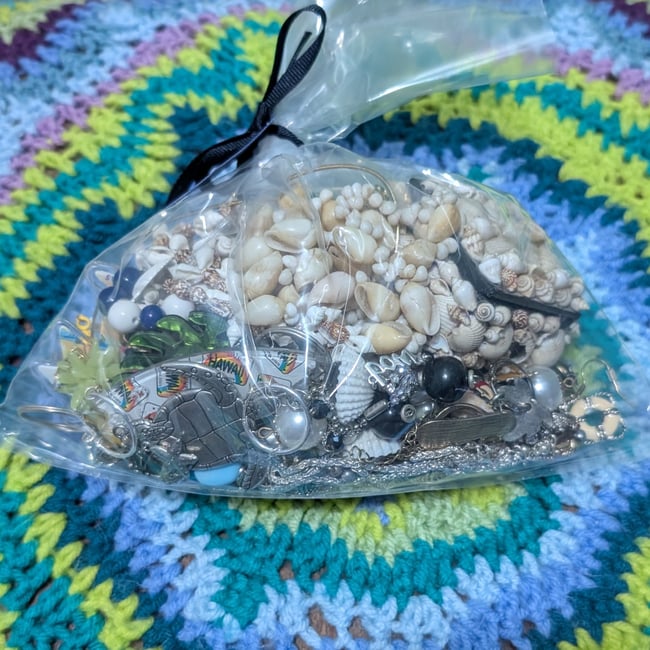 Femme Beachy Nautical Sea Shell Jewelry Mystery Grab Bag #11