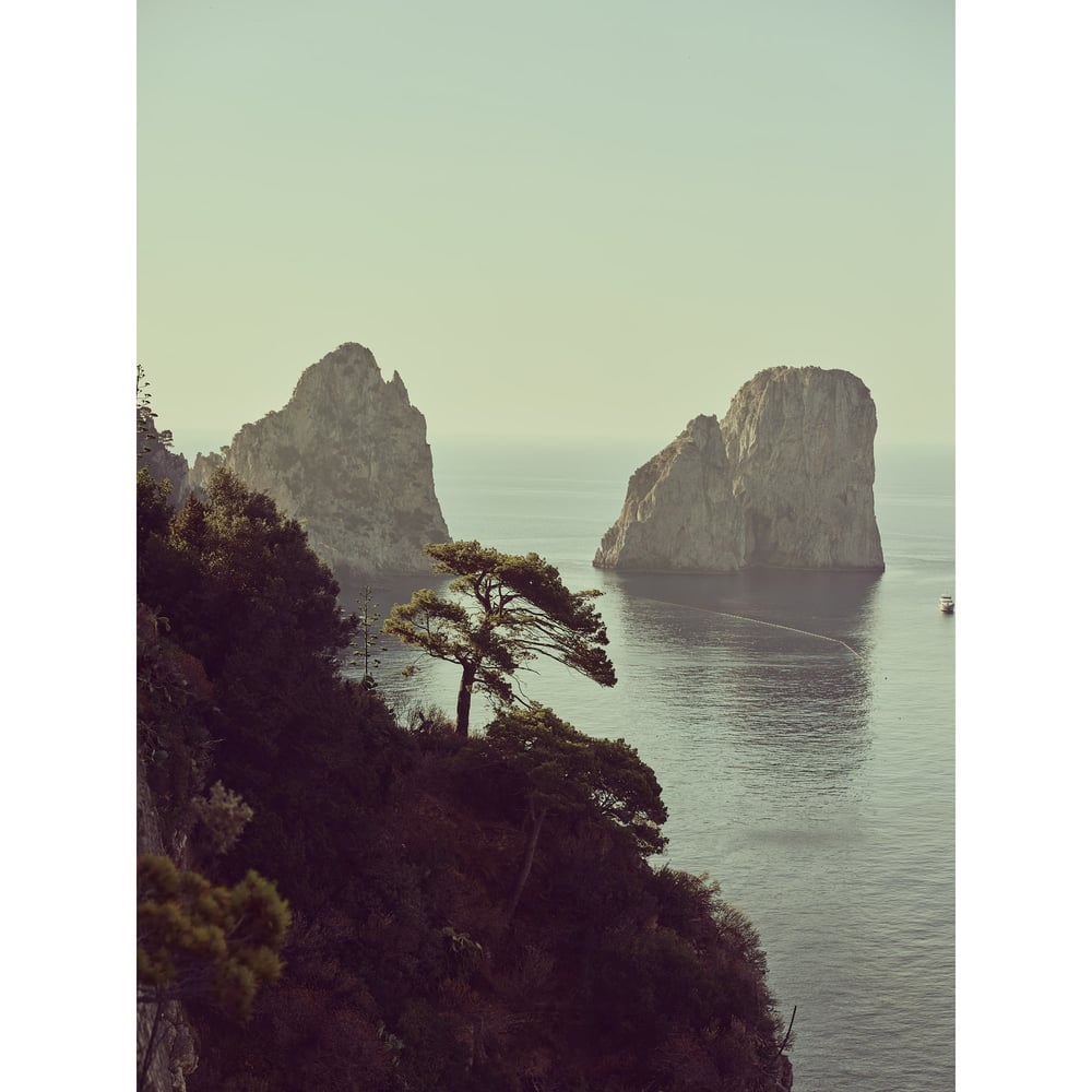 Image of Capri View (Vista Capri) — Capri Fine Art Print