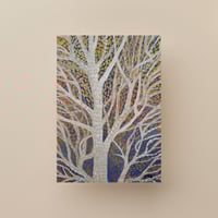 Image 1 of Aspen Study