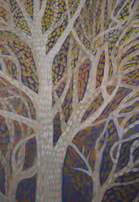 Image 2 of Aspen Study