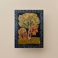 Image 1 of Young Aspen