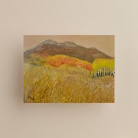 Image 1 of Mountain Meadow