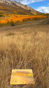 Image 3 of Mountain Meadow