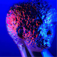 Image 1 of LAYERS OF WISDOM