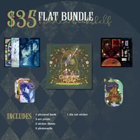 Hidden Bookshelf ⊹ Flat Bundle