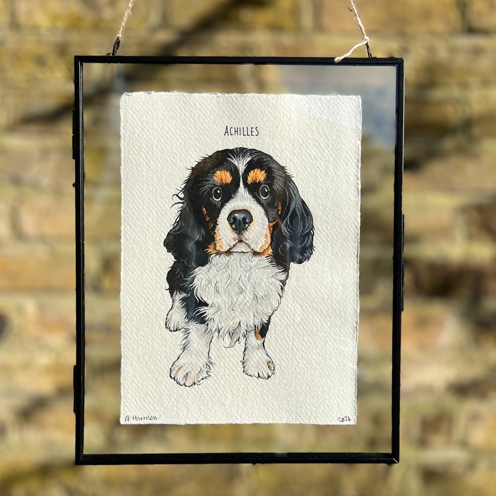 Image of bespoke pet portraits