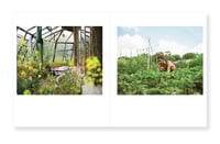 Image 2 of To Build A Home - Amanda Jackson