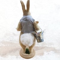 Image 3 of Thumper