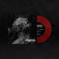 Image 1 of Seizure Dreams 7"