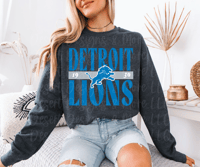 Image 4 of Detroit Lions sweatshirt 