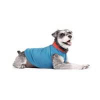 Image 1 of Goldpaw Marine/Paprika Duluth Double Fleece