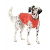 Image 1 of Goldpaw Paprika/Chestnut Duluth Double Fleece