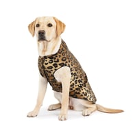 Image 1 of Goldpaw Leopard Print Duluth Double Fleece