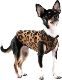 Image 2 of Goldpaw Leopard Print Duluth Double Fleece