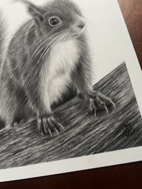 Image 3 of “Peek-a-boo in the trees” original art 