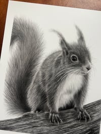 Image 4 of “Peek-a-boo in the trees” original art 