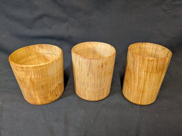 Image of Sycamore Cups