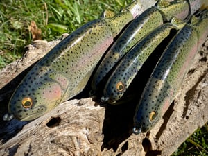 Image of 8” 3Piece Cali Girl Slow Sink (Naty Bow)