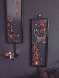 Image 2 of Pressed flower sconses 