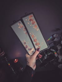 Image 3 of Pressed flower sconses 