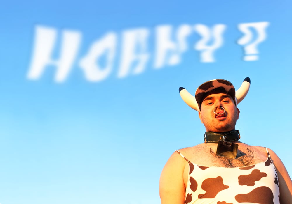 BOYCOW 