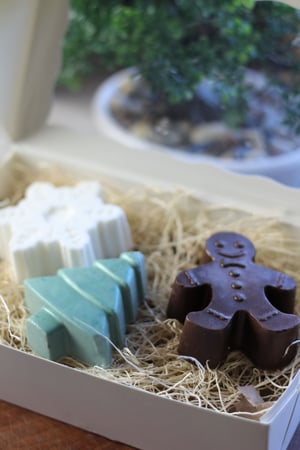 Image of Christmas Soap Sets 2025