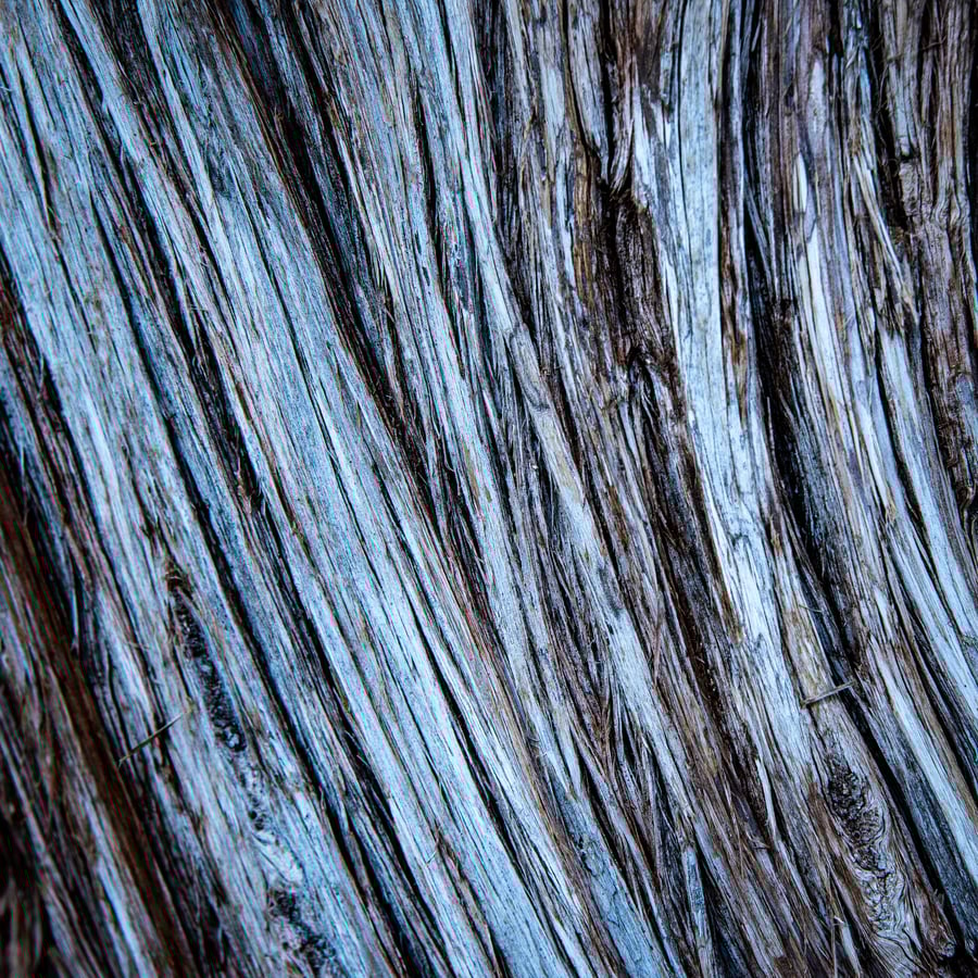 Image of David Wahl | Wood 1