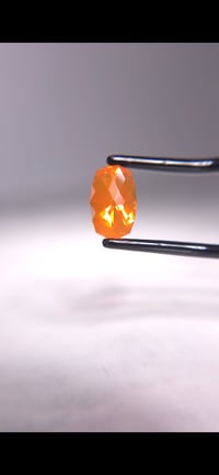 Image 2 of Mexican Fire Opal