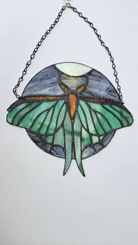 Image 3 of Luna moth night