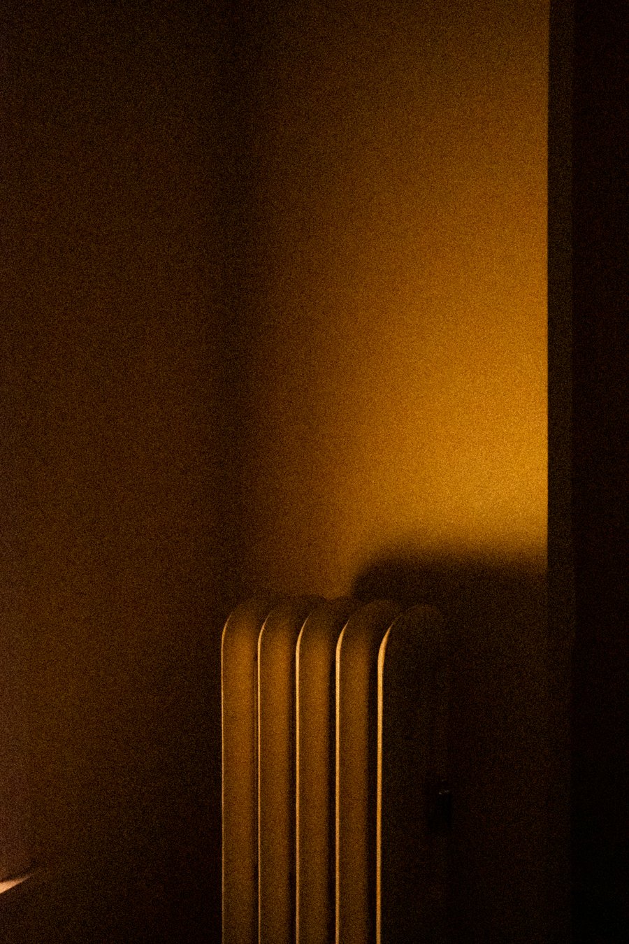 Image of Jim Tetro | Radiator 5