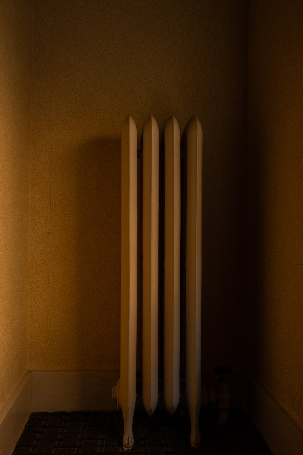 Image of Jim Tetro | Radiator 1