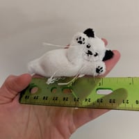 Image 3 of Micro mini ghost kitten