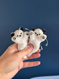 Image 1 of Micro mini ghost kitten