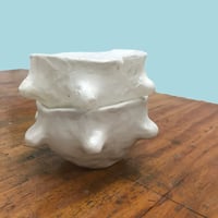 Image 2 of Creative Papermaking: Sculptural Laminate Casting