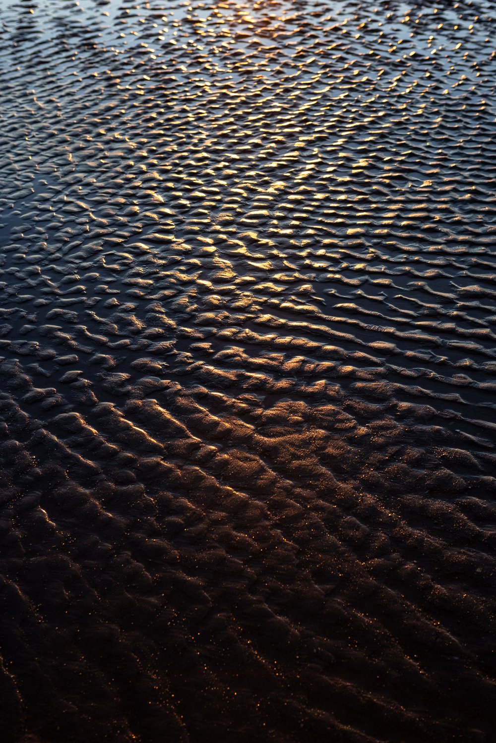 Image of Hannele Lahti | Low Tide