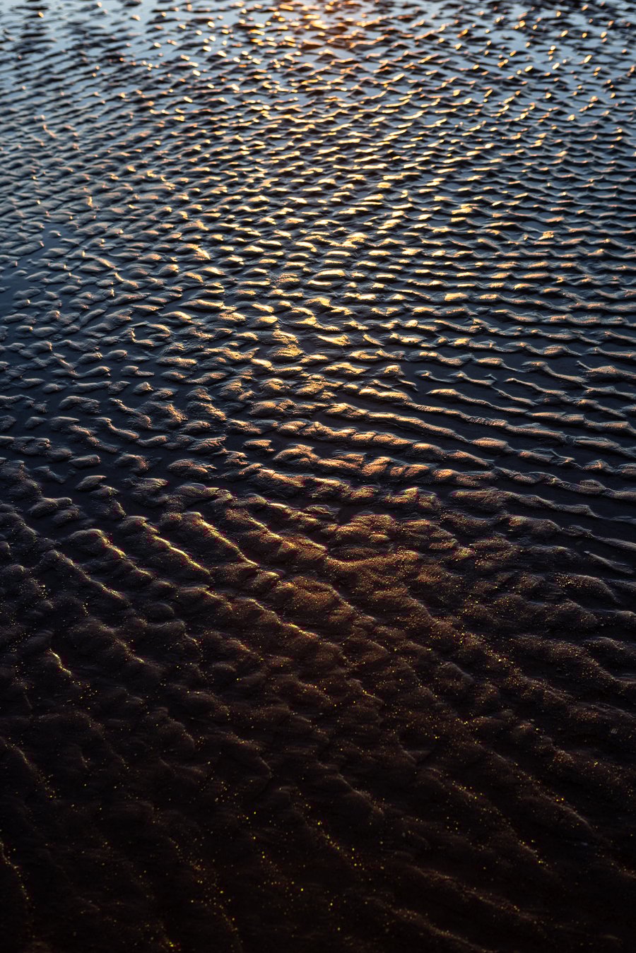 Image of Hannele Lahti | Low Tide