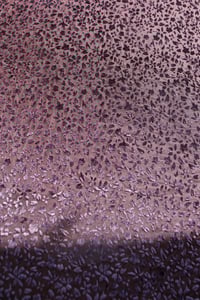 Image 1 of ♲ Sapphire - Custom Bikini Material - XS-L