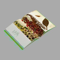 Image 5 of [EDICIONES MENGUANTES™] ÁLBUM DE LAS PLANTAS PROHIBIDAS (MARÍA DEL CARMEN TOSTADO GUTIÉRREZ™)