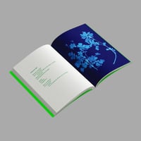Image 3 of [EDICIONES MENGUANTES™] ÁLBUM DE LAS PLANTAS PROHIBIDAS (MARÍA DEL CARMEN TOSTADO GUTIÉRREZ™)