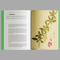 Image 4 of [EDICIONES MENGUANTES™] ÁLBUM DE LAS PLANTAS PROHIBIDAS (MARÍA DEL CARMEN TOSTADO GUTIÉRREZ™)