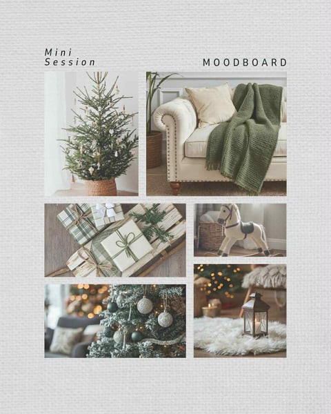 Image of Indoor Christmas Mini