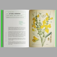 Image 2 of [EDICIONES MENGUANTES™] ÁLBUM DE LAS PLANTAS PROHIBIDAS (MARÍA DEL CARMEN TOSTADO GUTIÉRREZ™)