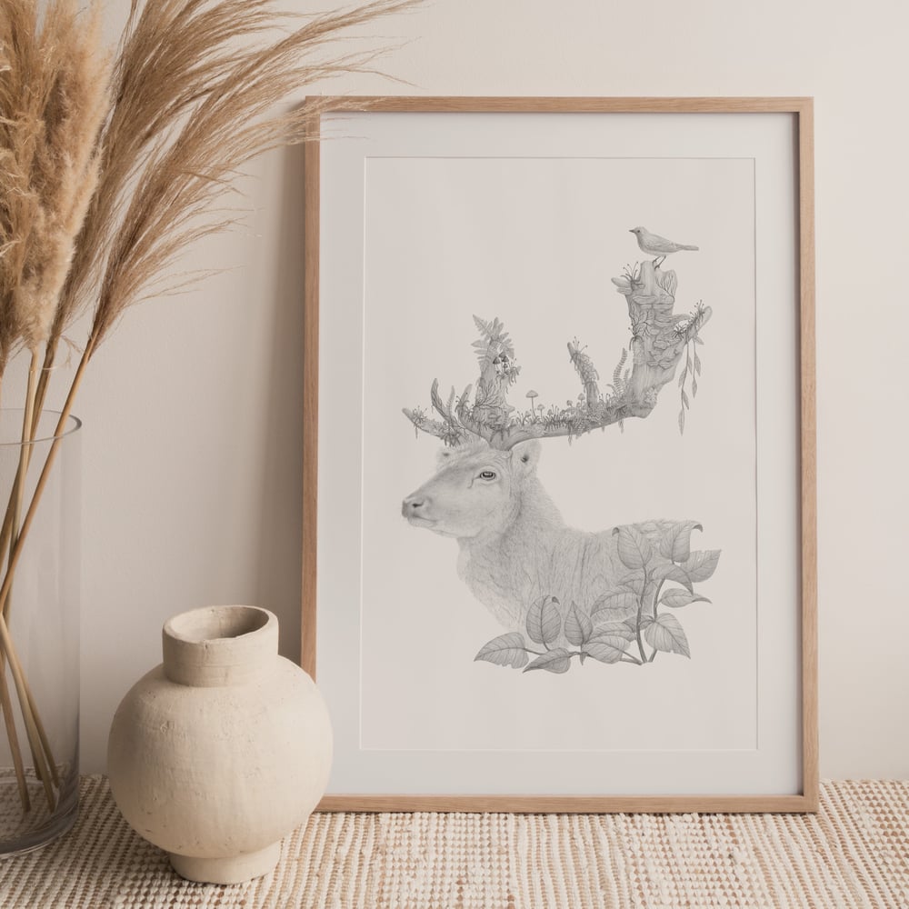 Image of 'Forest Spirit' graphite illustration - Fine-art print